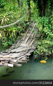 Suspension bridge over a reservoir with fishes in catfish farm in Thailand