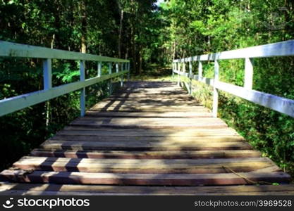 suspension bridge over river in rainforest