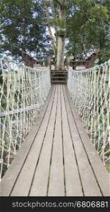 suspension footbridge to go to terrace on tree in forest