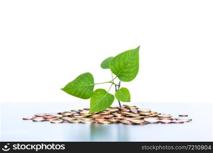 Sustainable investment money concept: Coins tacked on each other, green leaf