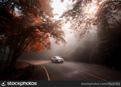 SUV car vehicle driving on curve mountain street with mist, sun rays light, and beautiful red foliage tree of forest in autumn. Family road trip travel to Phu Chi Fa, Chiang Rai, Thailand.