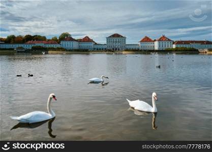Swans in pond in front of the Nymphenburg Palace. Munich, Bavaria, Germany. Swan in pond near Nymphenburg Palace. Munich, Bavaria, Germany