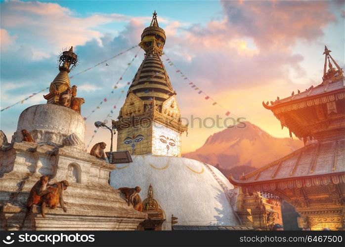 Swayambhunath - the Buddhist temple and the village center on the outskirts of Kathmandu in Nepal. Monkey Temple.