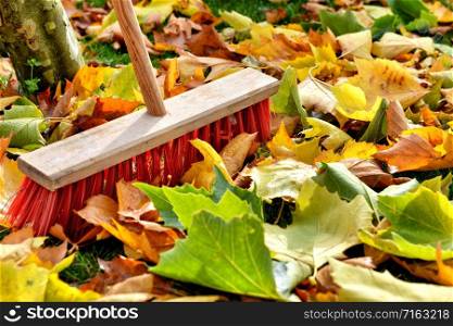sweeping leaves