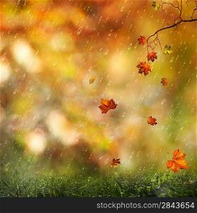 Sweet autumn rain on the meadow, abstract natural backgrounds