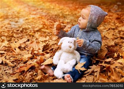 Sweet baby boy having fun in autumn park, sitting on the ground covered with dry leaves in the forest, little baby playing with his best friend, soft toy, happy carefree childhood
