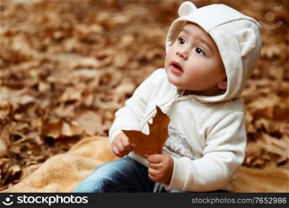 Sweet baby in autumn forest, cute little boy sitting on the dry tree leaves in the park, enjoying autumnal holidays, happy carefree childhood