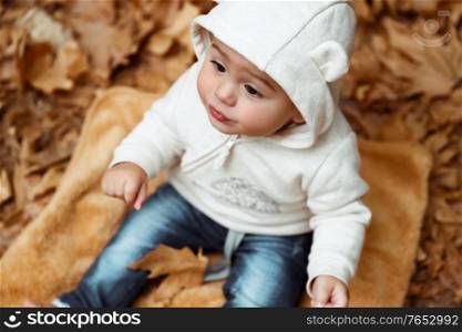 Sweet baby in autumn forest, cute little boy sitting on the dry tree leaves in the park, enjoying autumnal holidays, happy carefree childhood