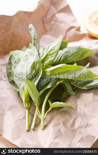 Sweet Basil