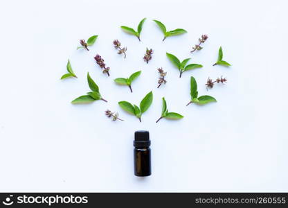 Sweet basil essential oil in a glass bottle with fresh sweet basil leaves and flower.
