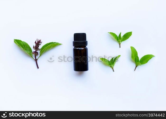 Sweet basil essential oil in a glass bottle with fresh sweet basil leaves and flower.