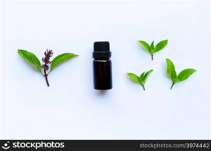 Sweet basil essential oil in a glass bottle with fresh sweet basil leaves and flower.