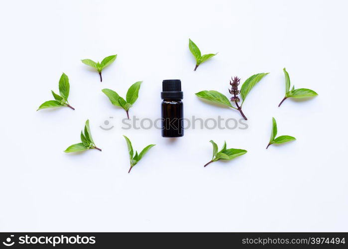 Sweet basil essential oil in a glass bottle with fresh sweet basil leaves and flower.