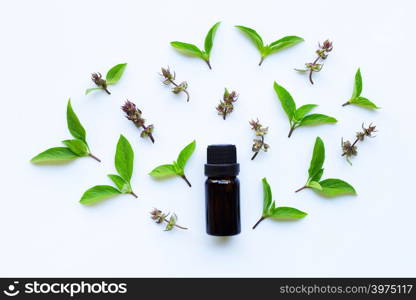 Sweet basil essential oil in a glass bottle with fresh sweet basil leaves and flower.