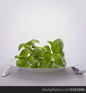 Sweet basil leaves on plate. Raw food diet concept.