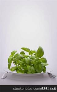 Sweet basil leaves on plate. Raw food diet concept.