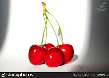 Sweet cherries on neutall background