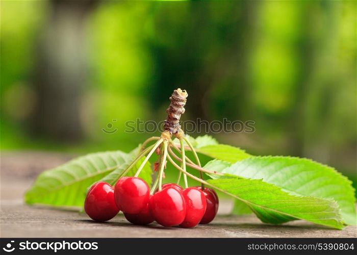 Sweet cherries on the wooden table outdoors