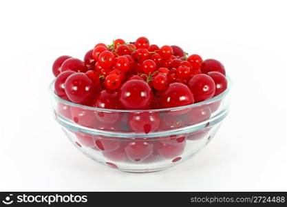 Sweet cherry and red currants in glass bowl isolated on white
