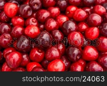 Sweet cherry background. ripe cherries