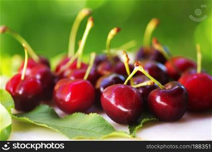 Sweet cherry berries isolated on green background
