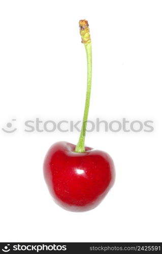 sweet cherry isolated on white