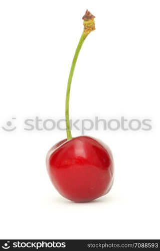 sweet cherry isolated on white