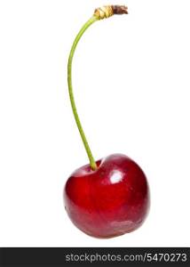 Sweet cherry on a white background