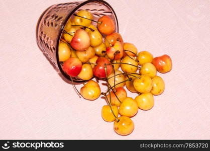 Sweet cherry wood plant of the family Rosaceae or Prunus avium