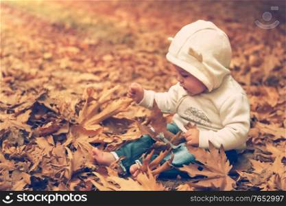 Sweet child having fun in the forest, little boy sitting on the ground and with pleasure playing with dry tree leaves, happy time outdoors