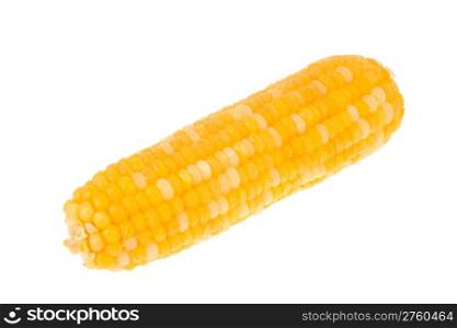 sweet corn isolated on the white