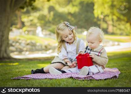 Sweet Little Girl Gives Her Baby Brother A Wrapped Gift on a Picnic Blanket Outdoors at the Park.