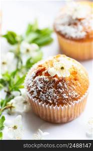 Sweet muffins with powdered sugar and blossoms. Homemade bakery. Muffins in white capsules decorated with fruit tree flowers. Spring time bakery.