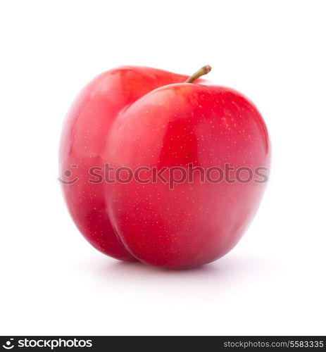 Sweet plum isolated on white background cutout