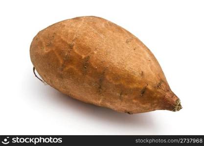 Sweet Potato closeup on white background