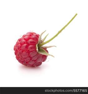 Sweet raspberry isolated on white background cutout