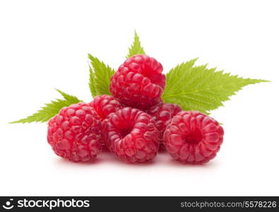 Sweet raspberry isolated on white background cutout