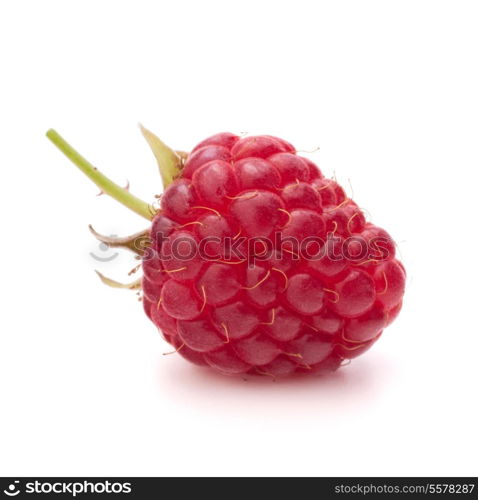 Sweet raspberry isolated on white background cutout