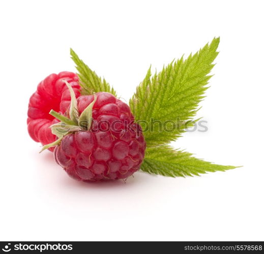 Sweet raspberry isolated on white background cutout