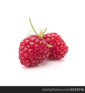 Sweet raspberry isolated on white background cutout