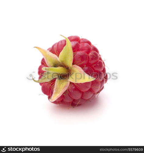 Sweet raspberry isolated on white background cutout