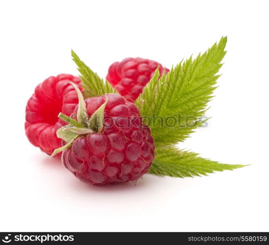 Sweet raspberry isolated on white background cutout