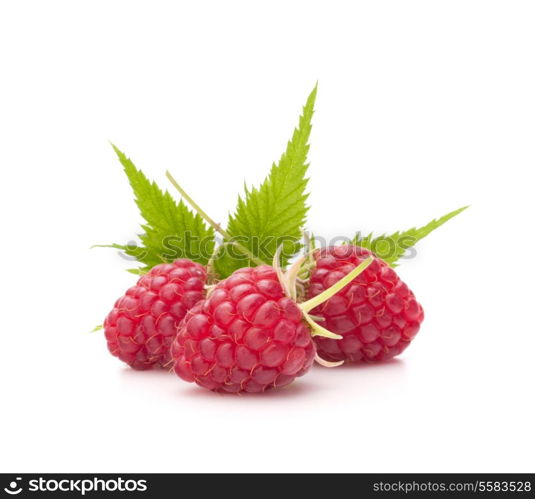 Sweet raspberry isolated on white background cutout