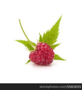 Sweet raspberry isolated on white background cutout