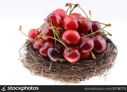 Sweet red cherries in a nest isolated on a white background