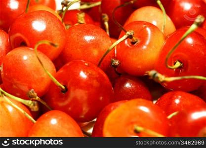 sweet red cherry macro close up