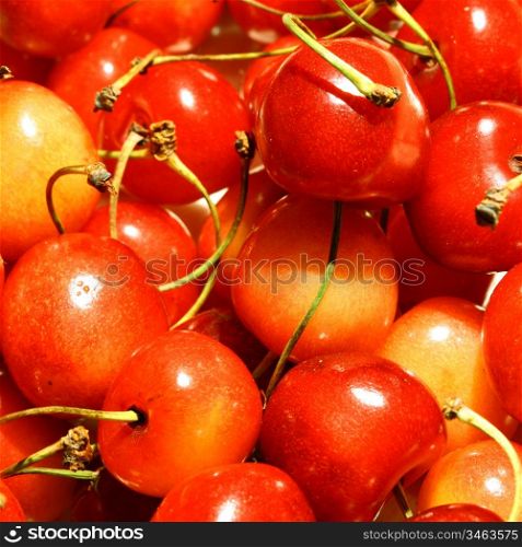 sweet red cherry macro close up