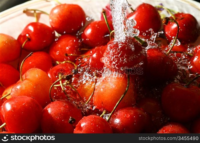 sweet red cherry under wet macro close up