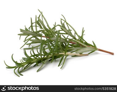 Sweet rosemary leaves isolated on white background