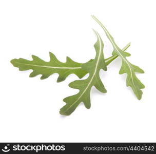 Sweet rucola salad or rocket lettuce leaves isolated on white background